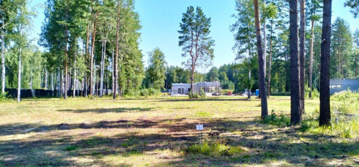 Участок № 96 в поселке Аист, площадь 10.14 соток
