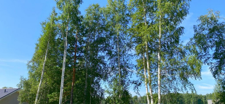 Участок № 24 в поселке Амур, площадь 10.90 соток