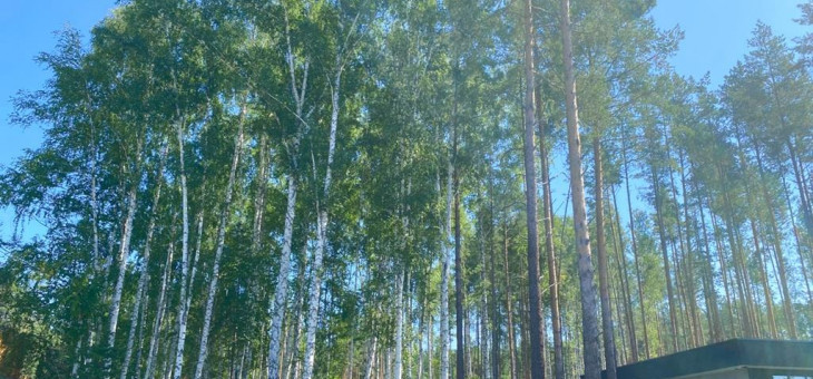 Участок № 36 в поселке Амур, площадь 10.92 соток