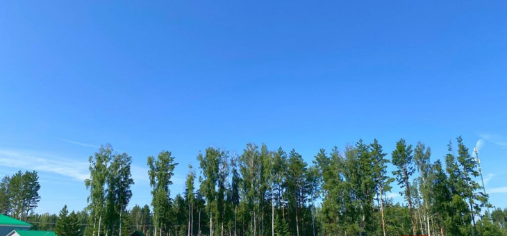 Участок № 89 в поселке Амур, площадь 11.86 соток