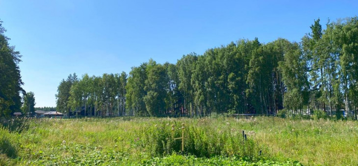 Участок № 100 в поселке Амур, площадь 14.13 соток