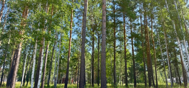 Участок № 39 в поселке Агат, площадь 14.50 соток