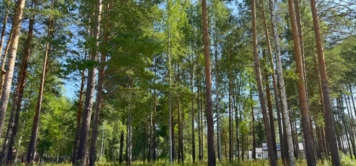 Участок № 40 в поселке Агат, площадь 14.50 соток