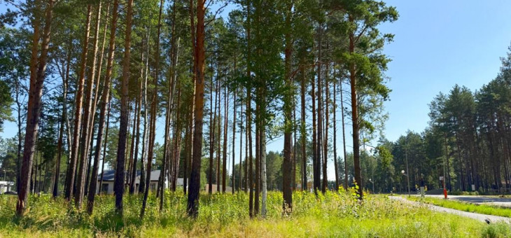 Участок № 42 в поселке Агат, площадь 14.13 соток