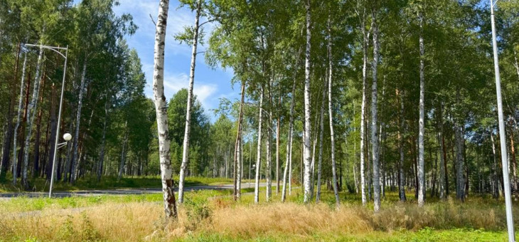 Участок № 43 в поселке Агат, площадь 12.30 соток