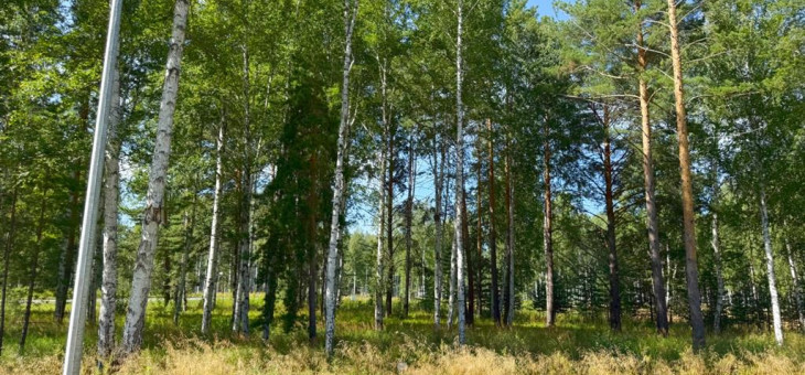 Участок № 44 в поселке Агат, площадь 10.03 соток