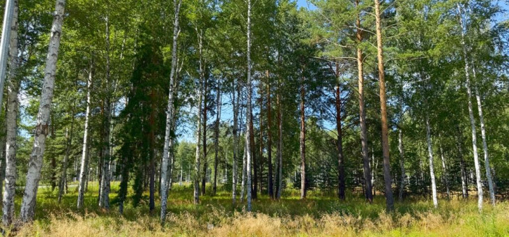 Участок № 45 в поселке Агат, площадь 10.03 соток