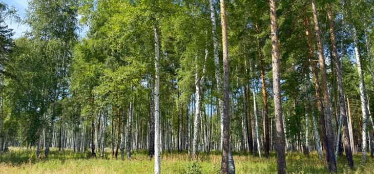 Участок № 48 в поселке Агат, площадь 10.42 соток