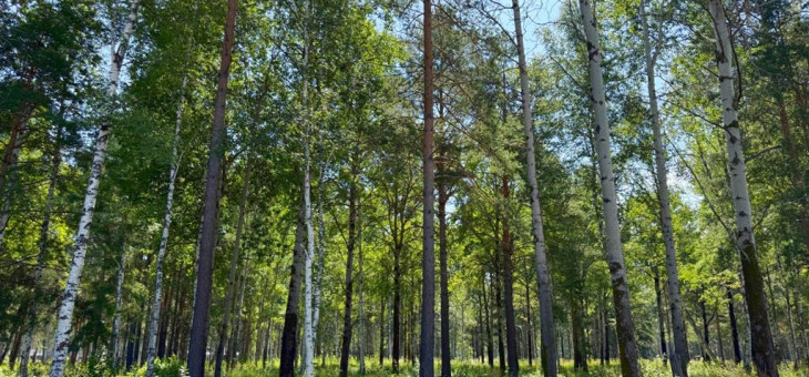 Участок № 53 в поселке Агат, площадь 10.03 соток