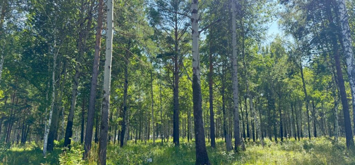 Участок № 54 в поселке Агат, площадь 10.04 соток