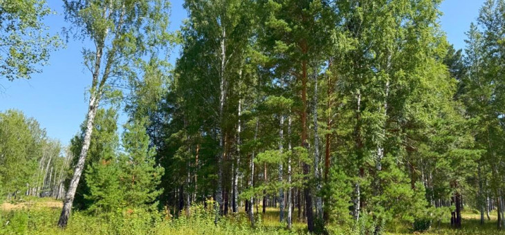 Участок № 55 в поселке Агат, площадь 9.87 соток