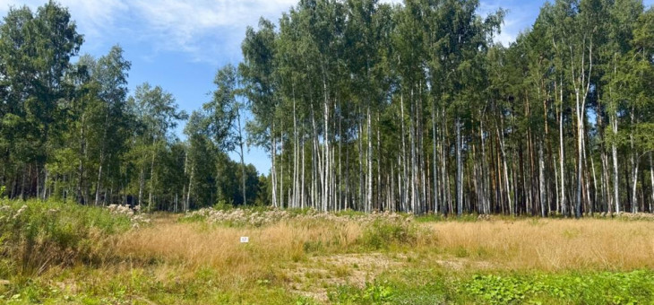 Участок № 57 в поселке Агат, площадь 10.60 соток