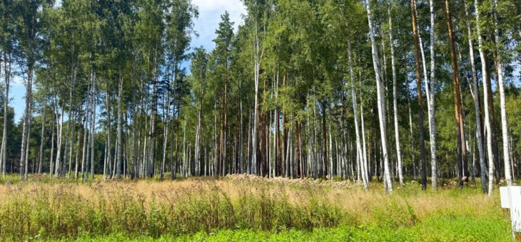 Участок № 58 в поселке Агат, площадь 10.60 соток