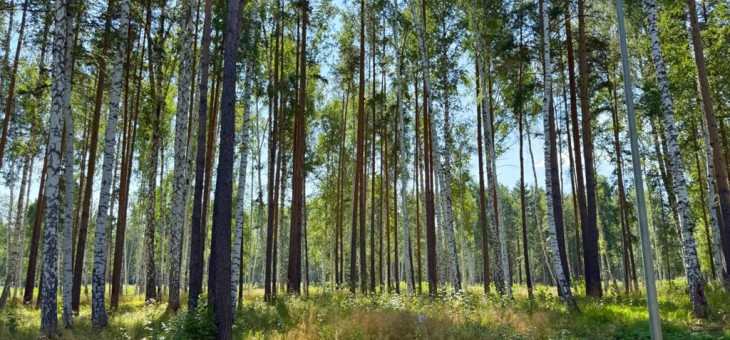 Участок № 60 в поселке Агат, площадь 11.54 соток