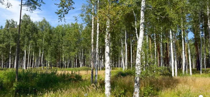 Участок № 62 в поселке Агат, площадь 14.14 соток