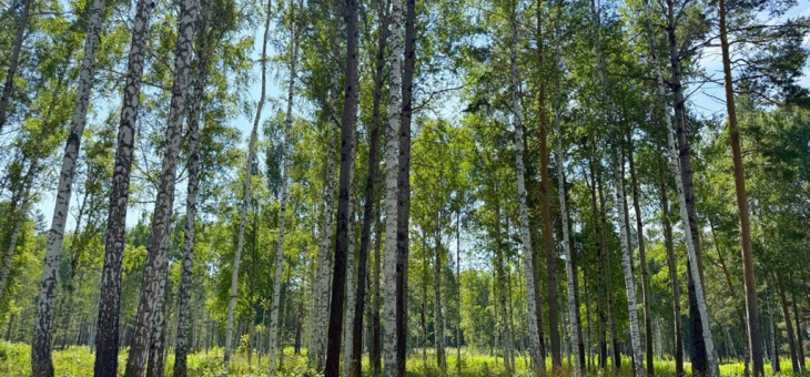 Участок № 64 в поселке Агат, площадь 12.83 соток