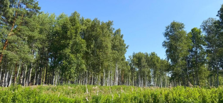 Участок № 67 в поселке Агат, площадь 9.18 соток