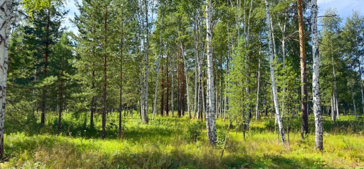 Участок № 70 в поселке Агат, площадь 14.27 соток