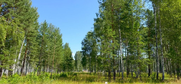 Участок № 72 в поселке Агат, площадь 12.41 соток