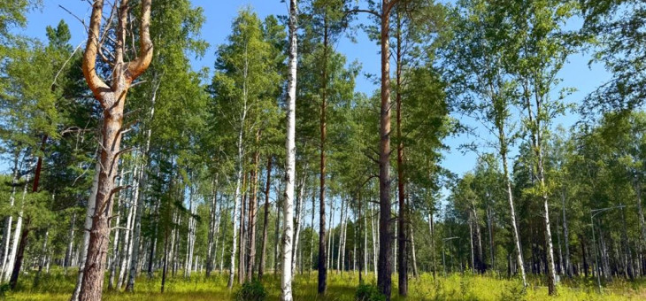 Участок № 73 в поселке Агат, площадь 13.93 соток