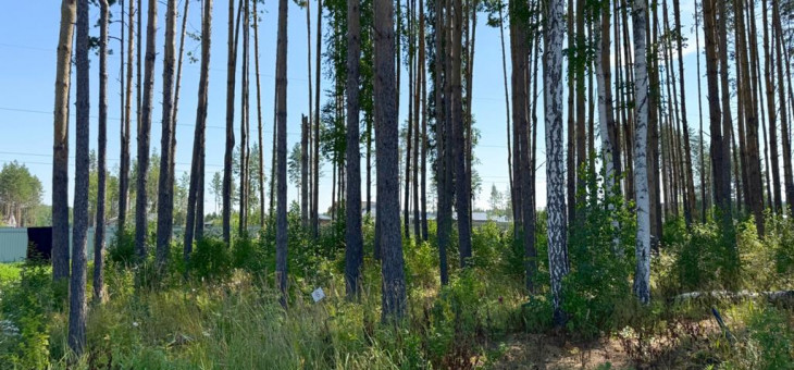 Участок № 6 в поселке Изумруд, площадь 10.39 соток