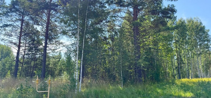 Участок № 72 в поселке Изумруд, площадь 22.95 соток