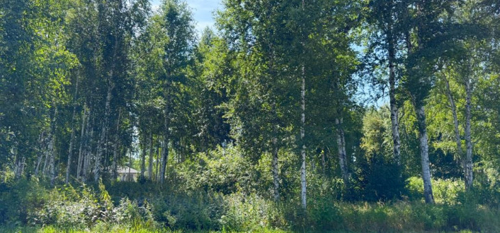 Участок № 84 в поселке Изумруд, площадь 9.89 соток