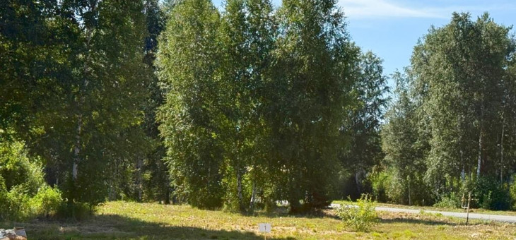 Участок № 1 в поселке Малахит, площадь 10.81 соток