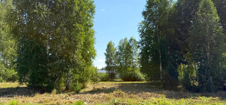 Участок № 2 в поселке Малахит, площадь 10.81 соток