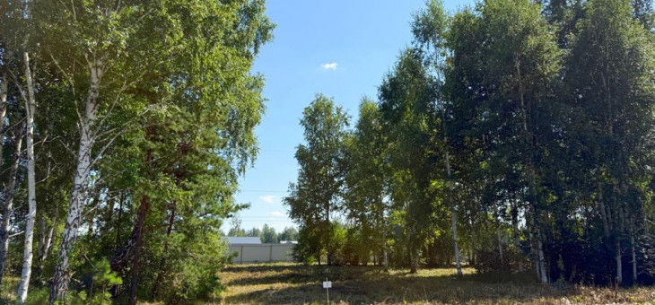 Участок № 3 в поселке Малахит, площадь 10.81 соток