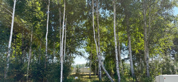 Участок № 4 в поселке Малахит, площадь 10.81 соток