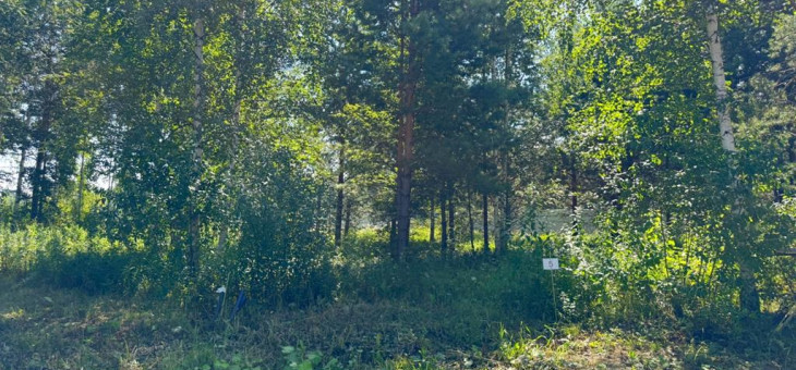 Участок № 5 в поселке Малахит, площадь 14.22 соток