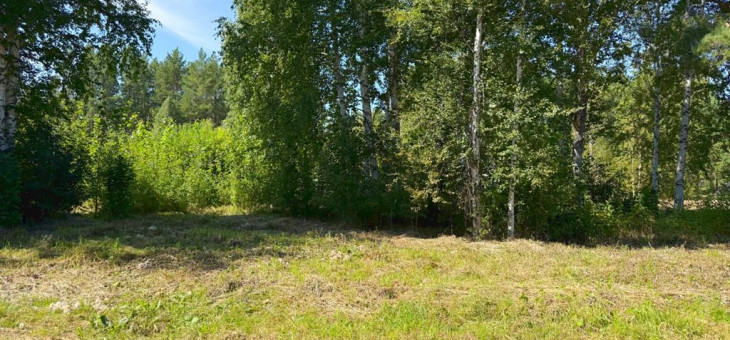 Участок № 7 в поселке Малахит, площадь 10.81 соток