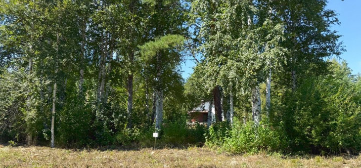 Участок № 8 в поселке Малахит, площадь 10.81 соток