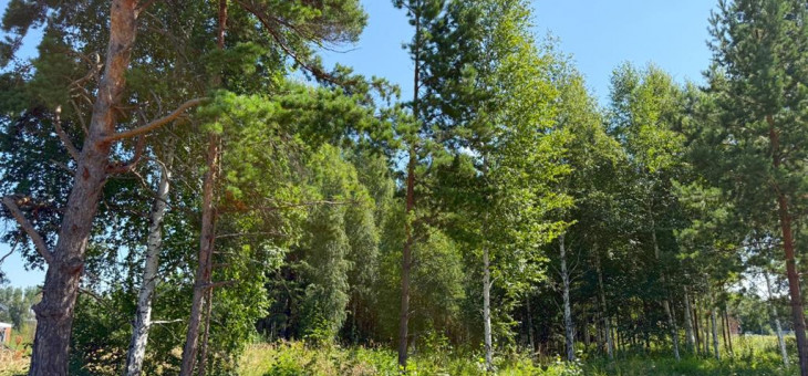 Участок № 21 в поселке Малахит, площадь 10.81 соток