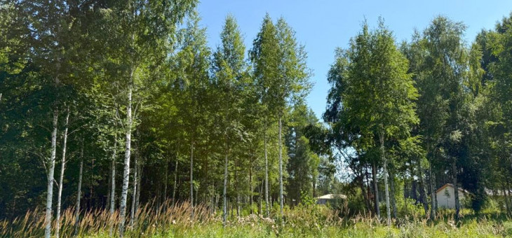 Участок № 22 в поселке Малахит, площадь 10.82 соток