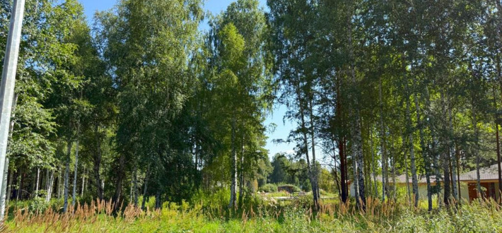 Участок № 23 в поселке Малахит, площадь 10.81 соток