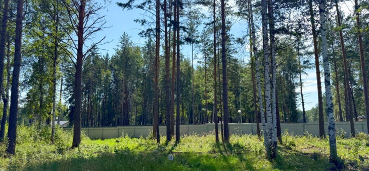 Участок № 25 в поселке Малахит, площадь 14.71 соток