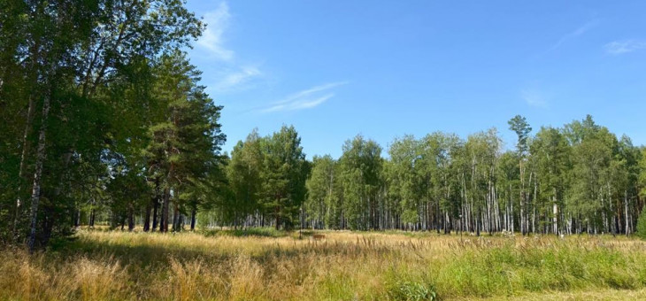 Участок № 39 в поселке Малахит, площадь 9.80 соток