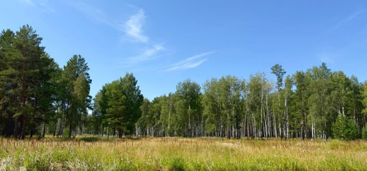 Участок № 40 в поселке Малахит, площадь 9.80 соток