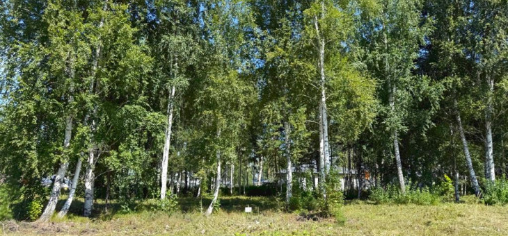 Участок № 73 в поселке Малахит, площадь 9.89 соток