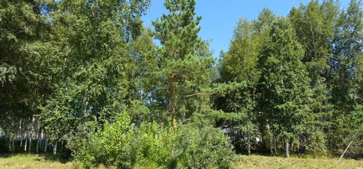 Участок № 74 в поселке Малахит, площадь 9.89 соток