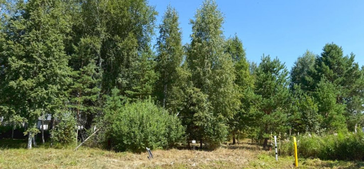 Участок № 75 в поселке Малахит, площадь 17.15 соток