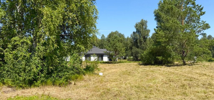 Участок № 49 в поселке Малахит, площадь 9.92 соток