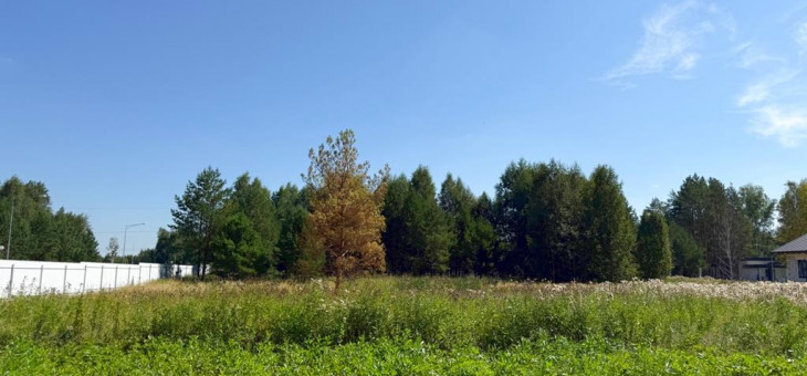 Участок № 1 в поселке Гранат, площадь 10.47 соток