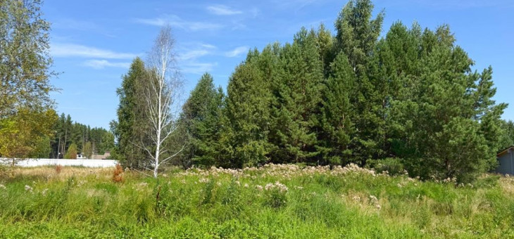 Участок № 24 в поселке Гранат, площадь 10.47 соток