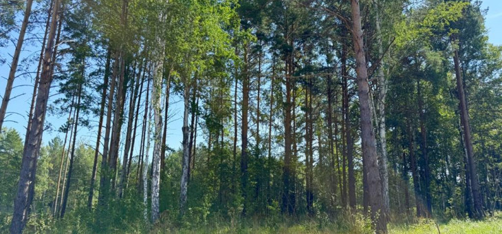 Участок № 40 в поселке Гранат, площадь 25.15 соток