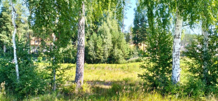 Участок № 58К в поселке Коммерческая земля, площадь 5.83 соток