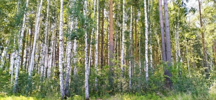 Участок № 73К в поселке Коммерческая земля, площадь 7.32 соток