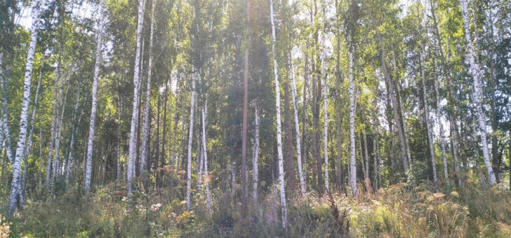 Участок № 78К в поселке Коммерческая земля, площадь 7.36 соток